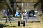 .resize_DSC_7848.jpg