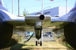 .resize_DSC_7852.jpg