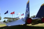 .resize_DSC_7856.jpg