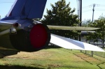 .resize_DSC_7872.jpg