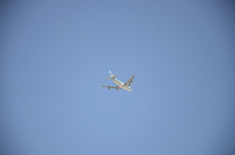 .resize_DSC_6994.jpg