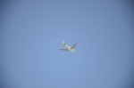 .resize_DSC_6994.jpg