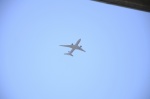 .resize_DSC_7267.jpg