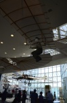 .resize_DSC_7333.jpg