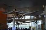 .resize_DSC_7336.jpg