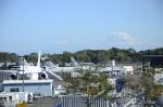 .resize_DSC_7668.jpg