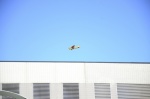 .resize_DSC_7683.jpg