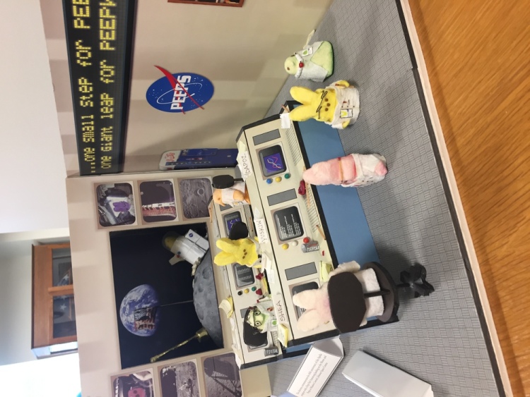 .resize_IMG_3323.JPG