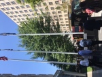 .resize_IMG_3335.JPG
