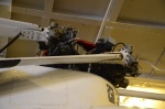 .resize_DSC_6831c.JPG