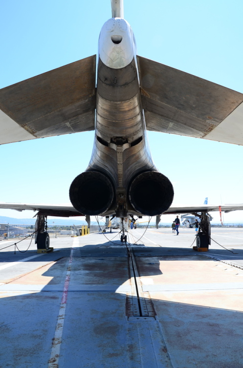 .resize_DSC_6358c.JPG