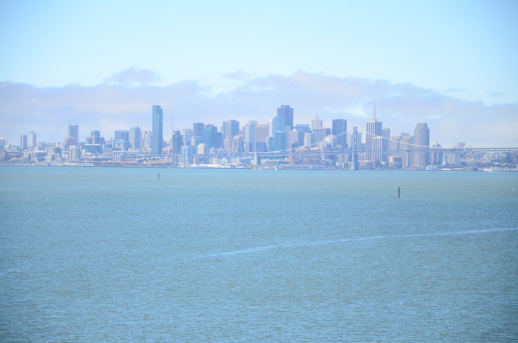 .resize_DSC_6529.JPG