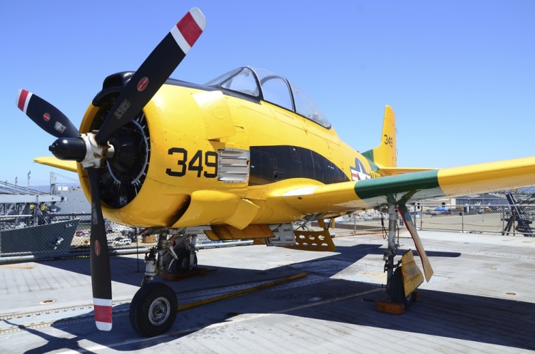 .resize_DSC_6638c.JPG