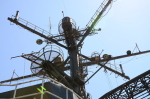 .resize_DSC_6411.JPG