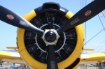 .resize_DSC_6636c.JPG