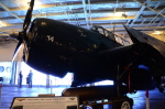 .resize_DSC_6321.JPG