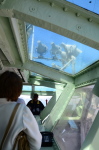 .resize_DSC_6432c.JPG