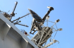 .resize_DSC_6506.JPG