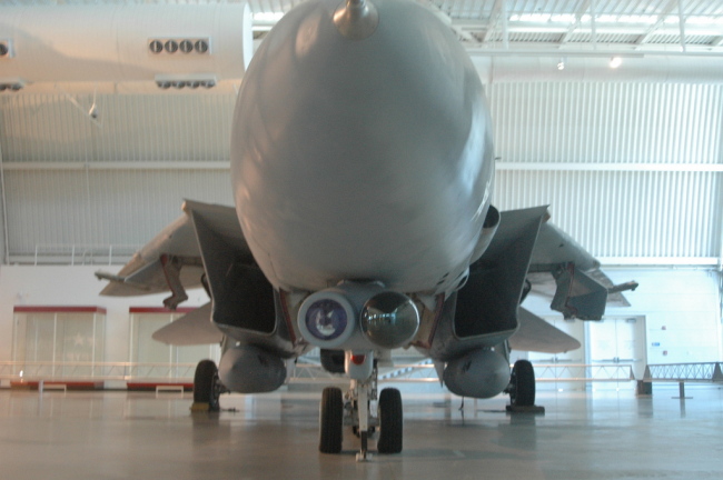.resize_MDSC_121.JPG