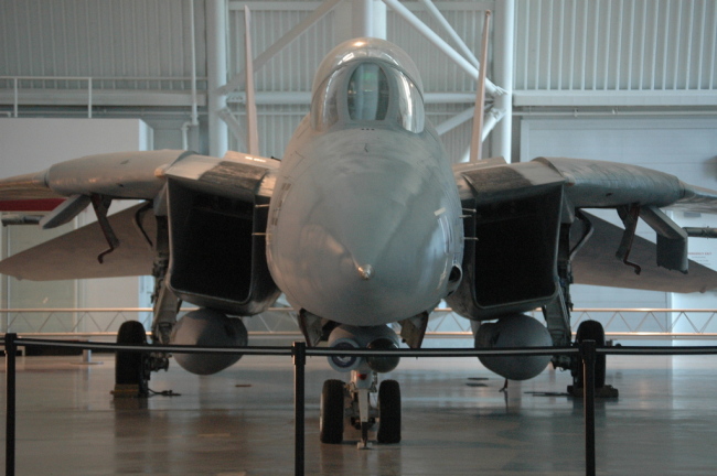 .resize_MDSC_33.JPG