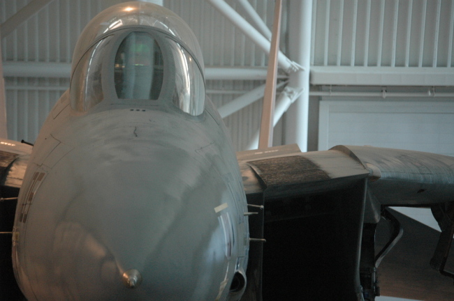.resize_MDSC_35.JPG