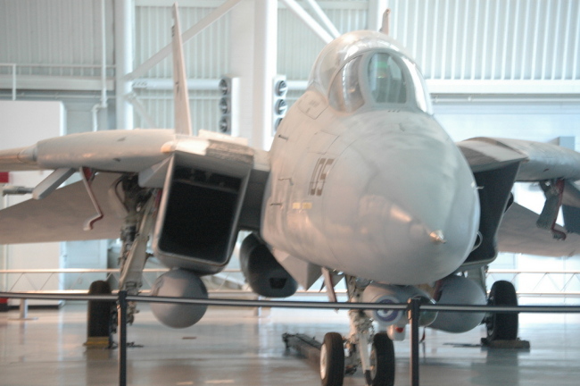 .resize_MDSC_40.JPG