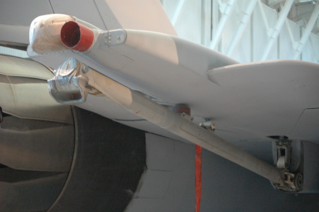 .resize_MDSC_90.JPG