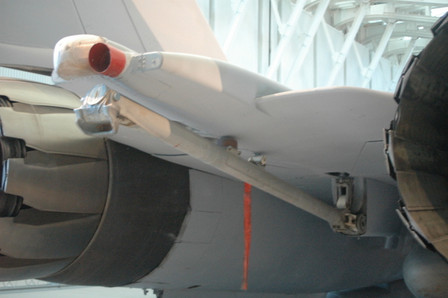 .resize_MDSC_91.JPG