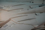 .resize_MDSC_0262.JPG