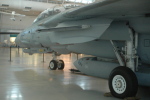 .resize_MDSC_100.JPG