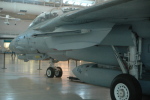 .resize_MDSC_101.JPG