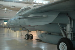 .resize_MDSC_102.JPG