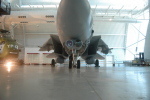 .resize_MDSC_116.JPG