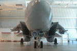 .resize_MDSC_121.JPG