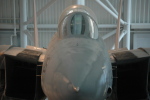 .resize_MDSC_28.JPG