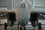 .resize_MDSC_31.JPG
