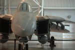.resize_MDSC_34.JPG