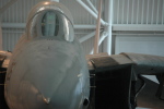 .resize_MDSC_35.JPG