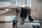 .resize_MDSC_37.JPG