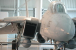 .resize_MDSC_38.JPG