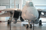 .resize_MDSC_39.JPG