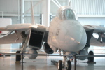 .resize_MDSC_40.JPG