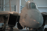 .resize_MDSC_45.JPG