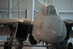 .resize_MDSC_47.JPG