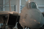 .resize_MDSC_49.JPG