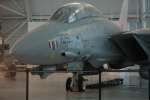 .resize_MDSC_51.JPG