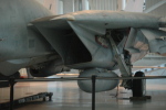 .resize_MDSC_52.JPG