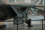 .resize_MDSC_53.JPG