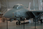 .resize_MDSC_55.JPG