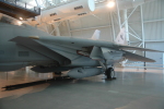 .resize_MDSC_63.JPG